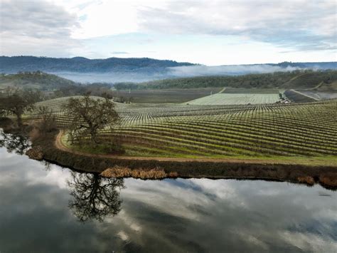 In Brief: Chanel Buys Napa Valley's St. Supéry 